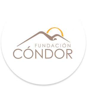 Logo Fundación Condor
