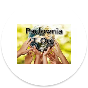 Paulownia